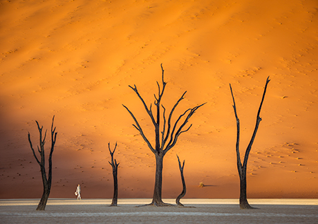 Swakopmund Dunes, Namibia