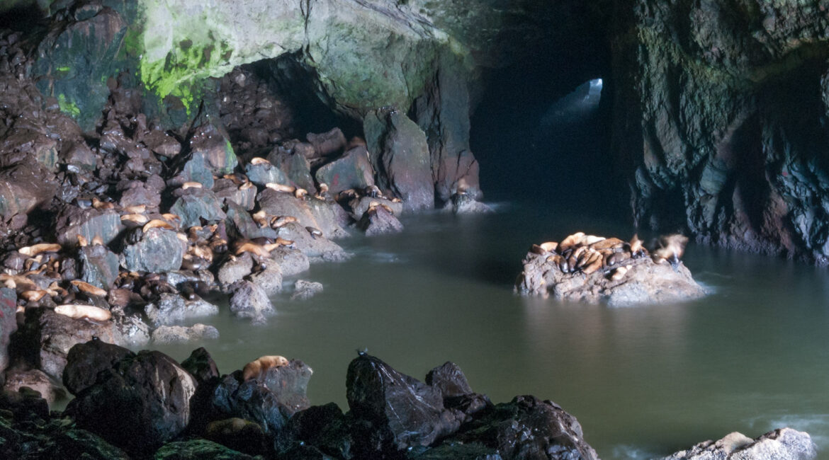 Sea Cave, Oregon