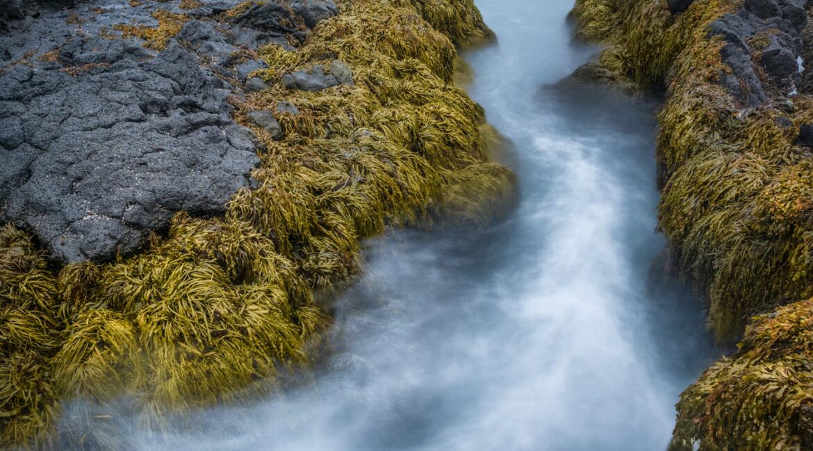 Landrangar Basalt Cliffs, Iceland