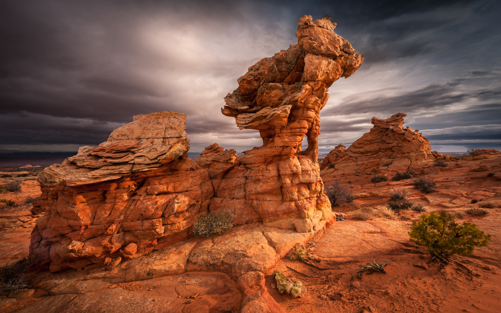 Red Rock Photography Tour